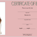 Birth Certificate Template For Microsoft Word