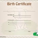 Birth Certificate Templates For Word