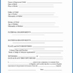 Birth Certificate Translation Template