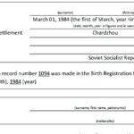 Birth Certificate Translation Template