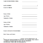 Birth Certificate Translation Template