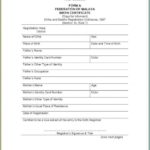 Birth Certificate Translation Template