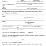 Birth Certificate Translation Template