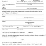 Birth Certificate Translation Template