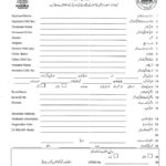 Birth Certificate Translation Template