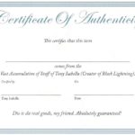 Certificate Of Authenticity Template