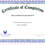 Certificate Of Completion Word Template