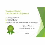 Certificate Of Participation Template Ppt