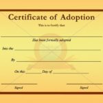 Child Adoption Certificate Template