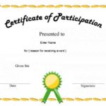 Conference Participation Certificate Template