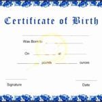 Fake Birth Certificate Template