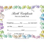 Fake Birth Certificate Template