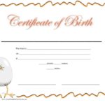 Fake Birth Certificate Template