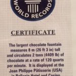 Guinness World Record Certificate Template