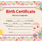 Official Birth Certificate Template