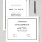 Official Birth Certificate Template