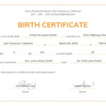 Official Birth Certificate Template