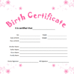 Official Birth Certificate Template