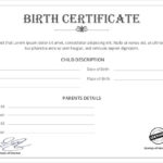Official Birth Certificate Template