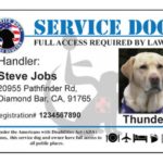 Service Dog Certificate Template