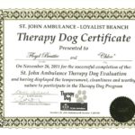 Service Dog Certificate Template