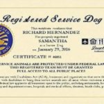 Service Dog Certificate Template