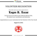Volunteer Award Certificate Template