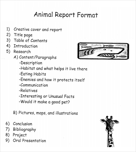 Animal Report Template