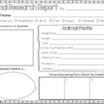 Animal Report Template