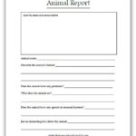 Animal Report Template