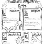 Animal Report Template