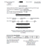 Birth Certificate Translation Template Uscis