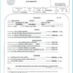 Birth Certificate Translation Template Uscis