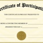 Free Templates For Certificates Of Participation