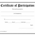 Free Templates For Certificates Of Participation