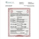 Mexican Marriage Certificate Translation Template