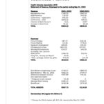 Non Profit Treasurer Report Template