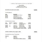 Non Profit Treasurer Report Template