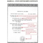 Novelty Birth Certificate Template