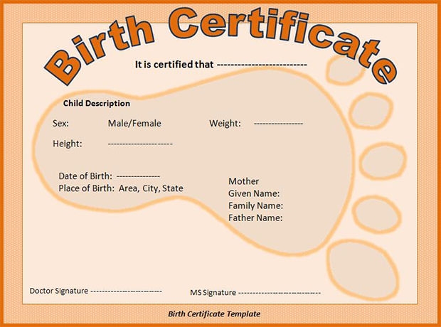 Novelty Birth Certificate Template