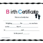 Novelty Birth Certificate Template