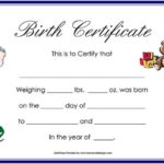 Novelty Birth Certificate Template