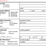 Nursing Handoff Report Template