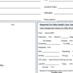 Nursing Handoff Report Template