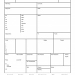 Nursing Report Sheet Template