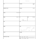 Nursing Report Sheet Templates