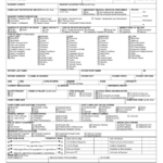 Patient Care Report Template