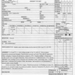 Patient Care Report Template