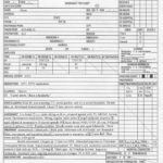 Patient Care Report Template