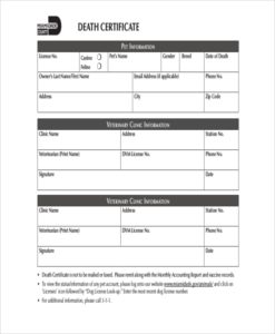 Rabies Vaccine Certificate Template TEMPLATES EXAMPLE TEMPLATES EXAMPLE Rabies Vaccine Certificate Template TEMPLATES EXAMPLE TEMPLATES EXAMPLE